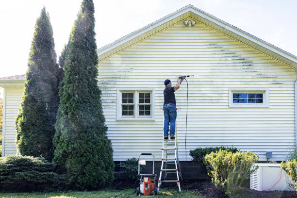 Best Graffiti Removal  in Ivanhoe, TX